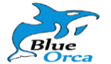 Blue Orca logo